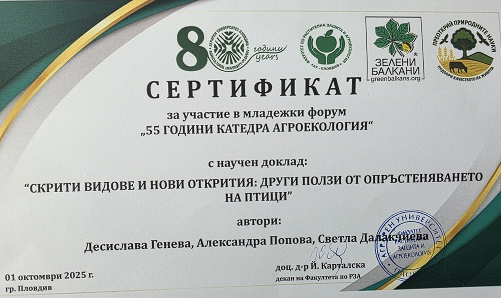 image_3.jpg